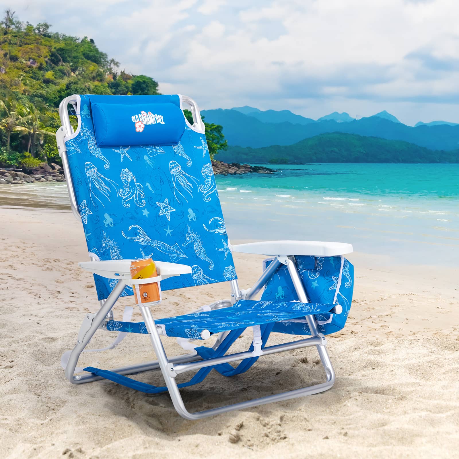 beach chair