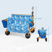 beach wagon
