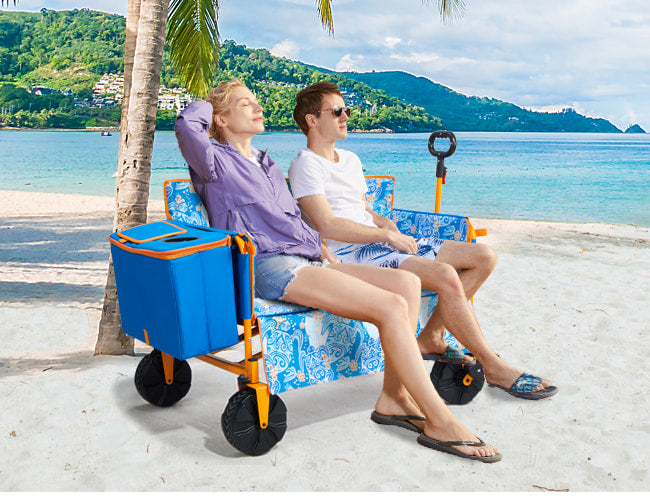 beach-wagon-650-1.jpg