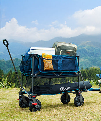 collection-wagon-3.jpg