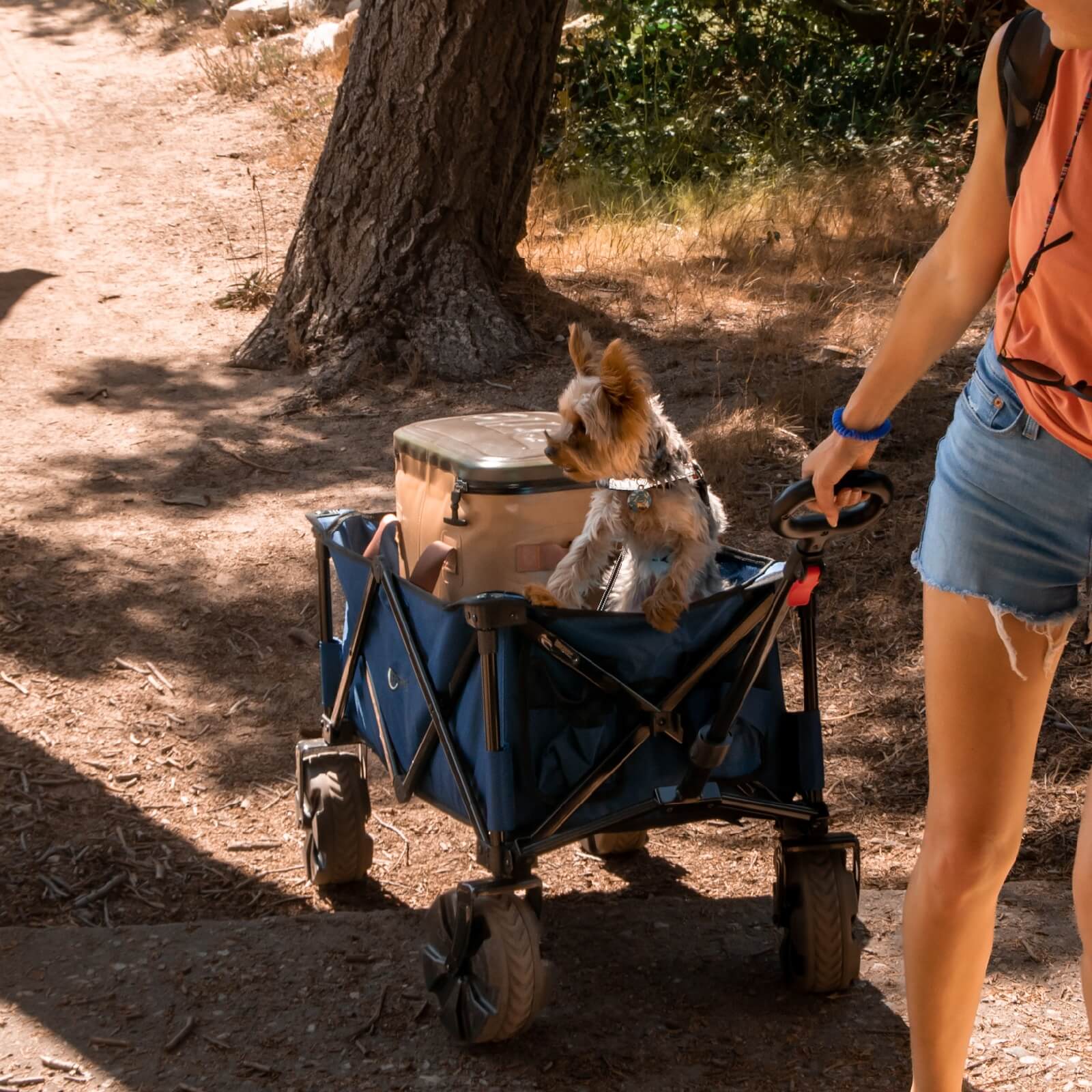 All Terrain Folding Wagon carry pet